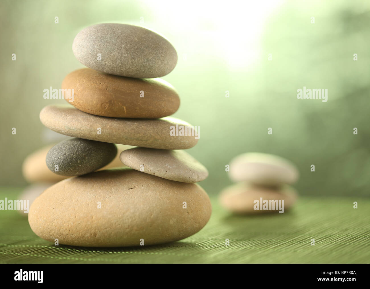 Giardino di roccia Foto Stock