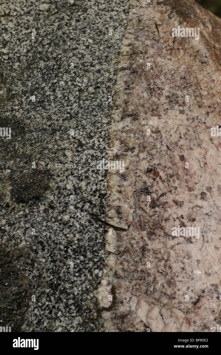 Intrusione nella zona di contatto tra due tipi di granito. Boulder glaciale Illinois Foto Stock