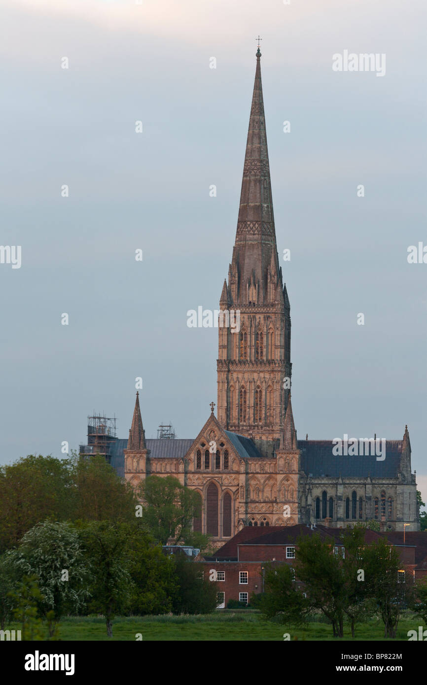 Guglia di Salisbury al tramonto. Gli ultimi raggi di sole di setting gettato una luce calda sulla pietra di alta guglia della cattedrale. Foto Stock