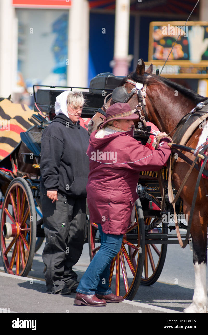 Blackpool carrozza di driver Foto Stock
