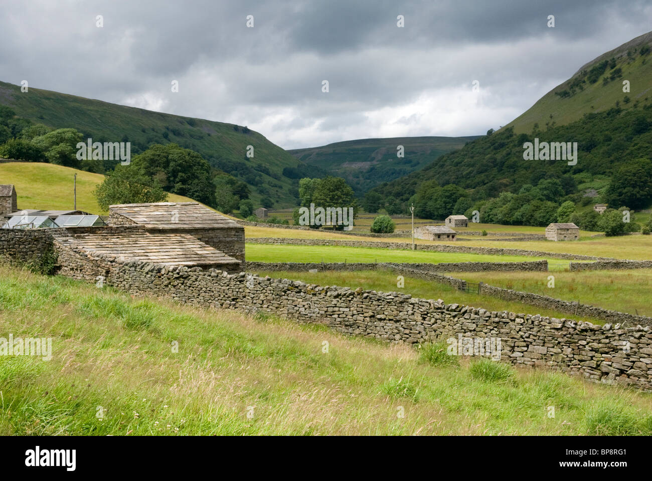 Vista di Swaledale fienili da Muker, Swaledale, North Yorkshire, Inghilterra. Foto Stock