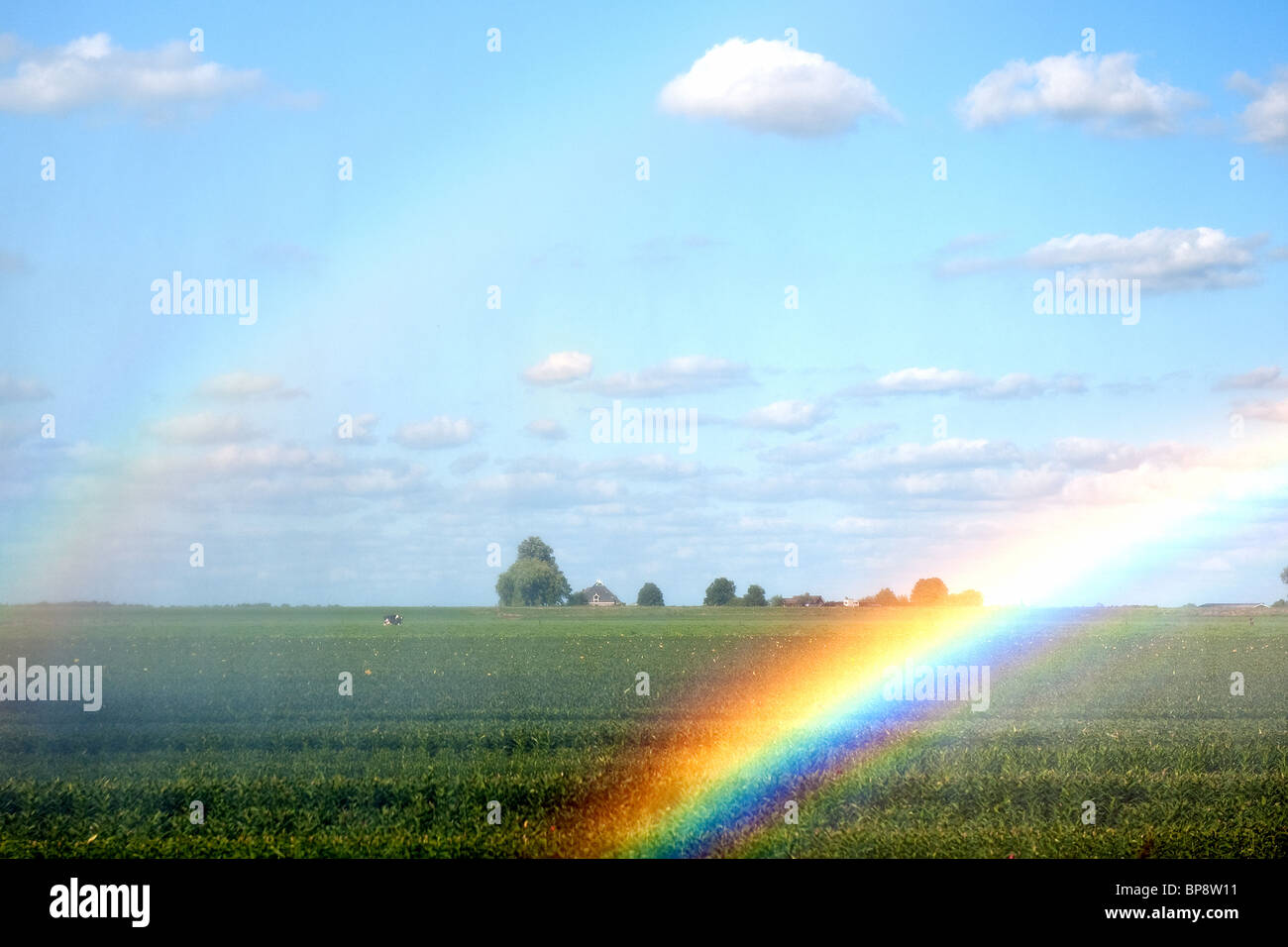 Arcobaleno di irrigazione Agricoltura i campi con verdure Foto Stock