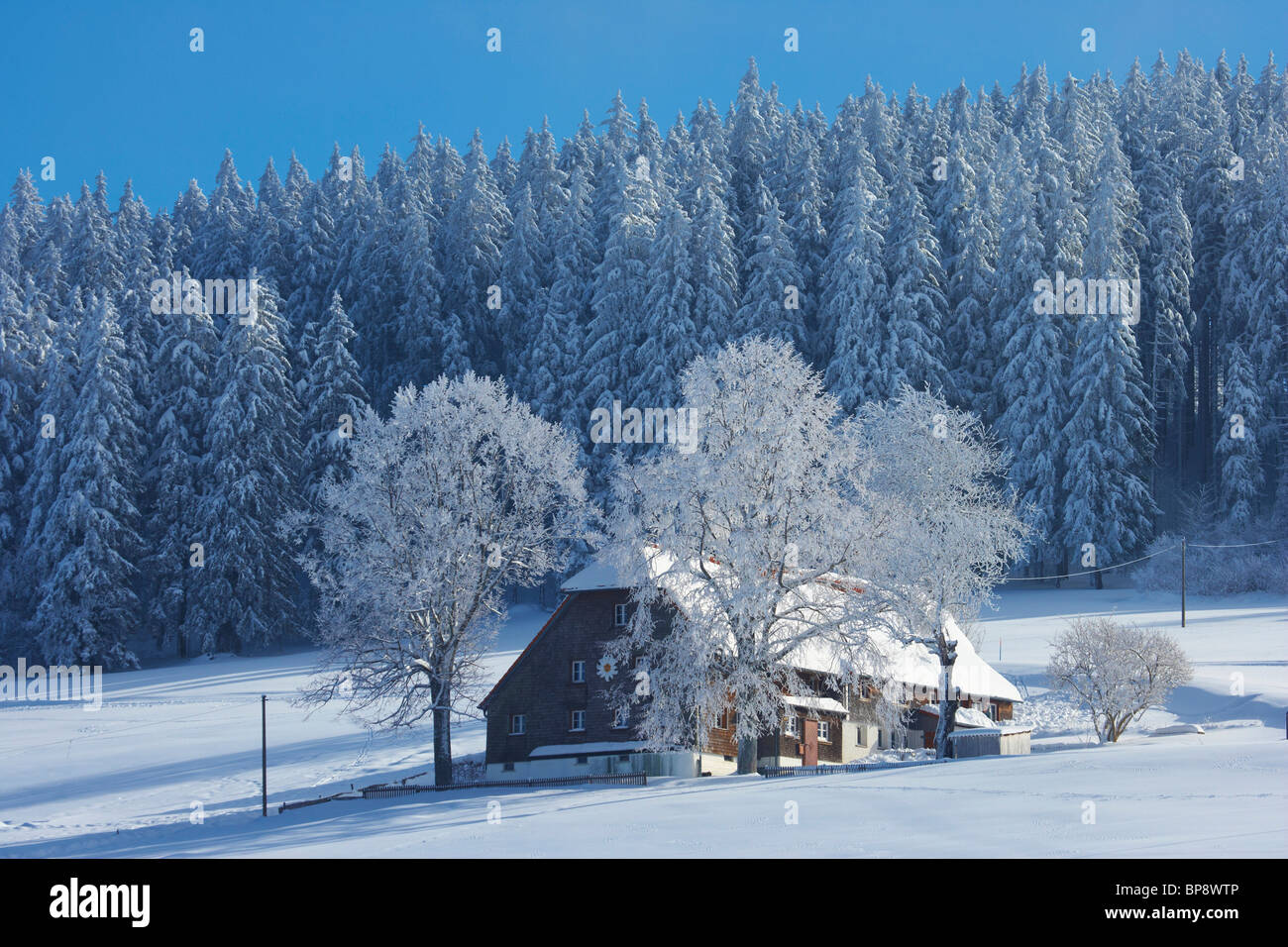 Agriturismo su un inverno di mattina a Breitnau-Fahrenberg, Foresta Nera, Baden-Wuerttemberg, Germania, Europa Foto Stock