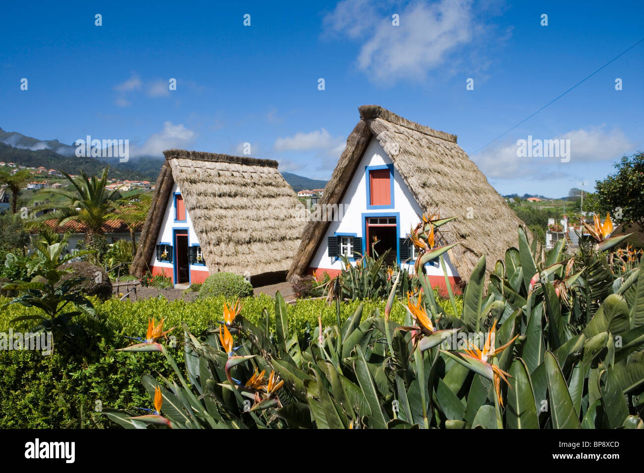 Un tradizionale-incorniciato Palheiro Case, Santana, Madeira, Portogallo Foto Stock