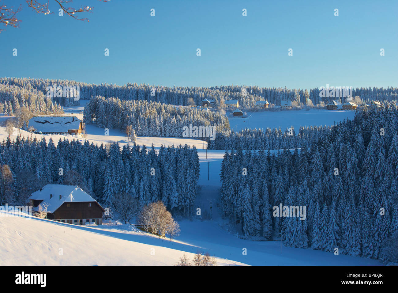 Vista dalla Thurner a Casali, Winter's day, Foresta Nera, Baden-Wuerttemberg, Germania, Europa Foto Stock