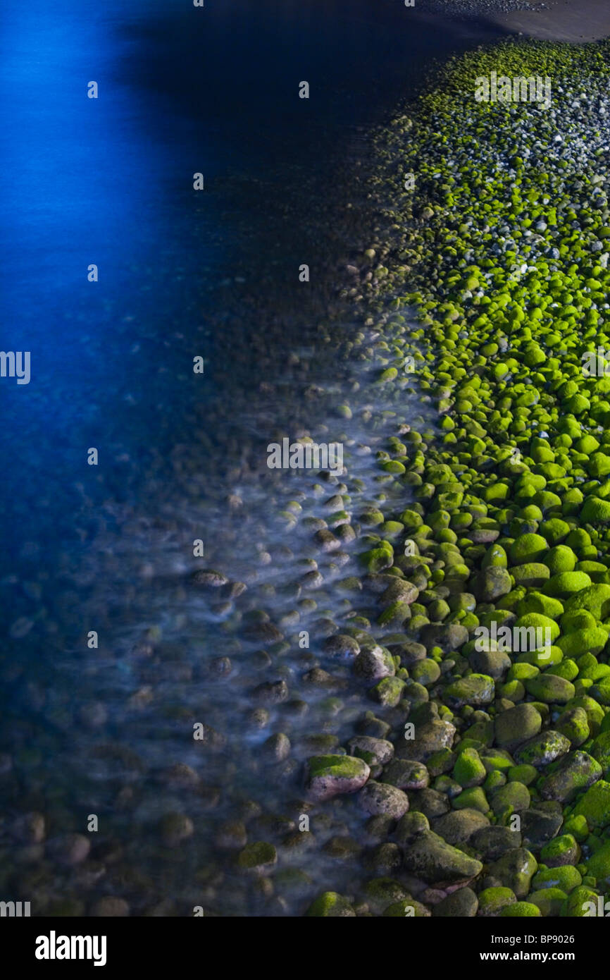 Le alghe coperto i ciottoli sulla spiaggia di notte, Ponta do Sol, Madeira, Portogallo Foto Stock