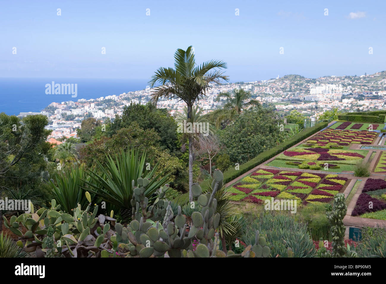 Il Jardim Botanico Giardino Botanico, Funchal, Madeira, Portogallo Foto Stock