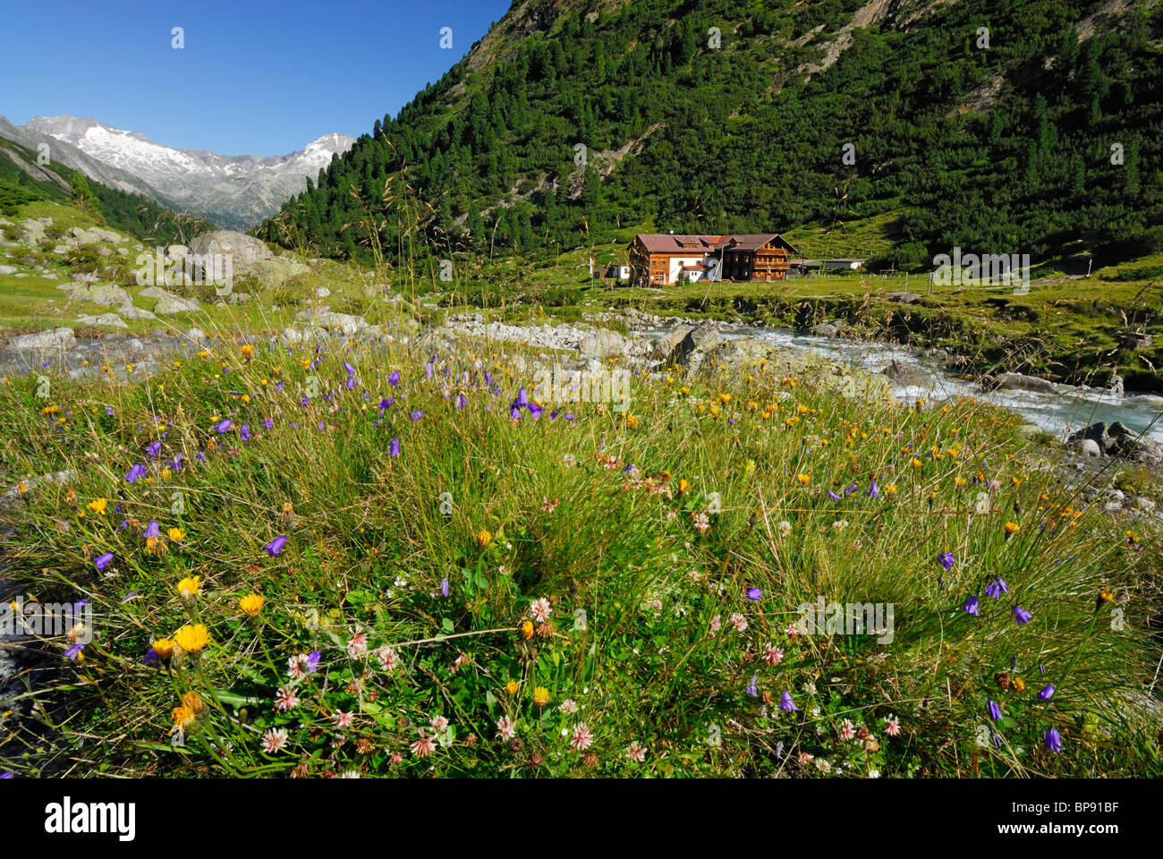 Paesaggio di montagna con stream e inn Alpenrose vicino rifugio Berliner Huette, Zillertal, Alpi della Zillertal, Tirolo, Austria Foto Stock