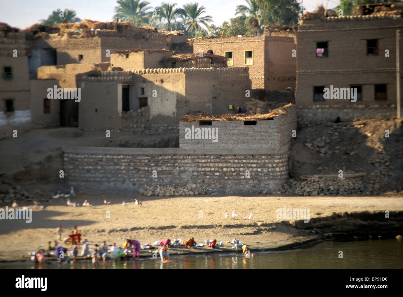 Le donne il lavaggio nel fiume Nilo, Alto Egitto, con il loro fango-case di mattoni in background Foto Stock