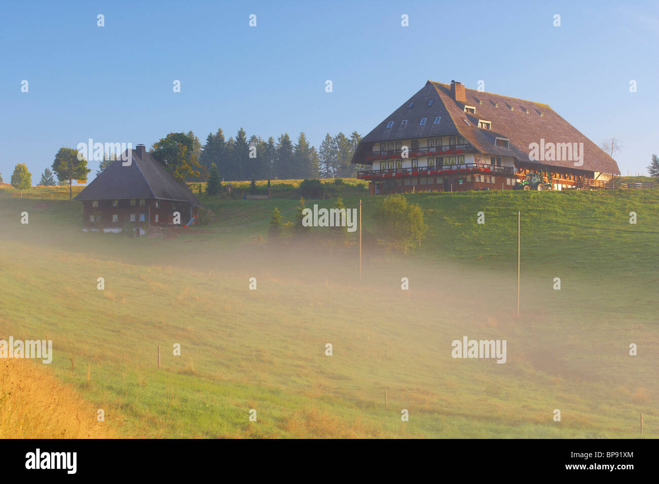 In mattinata il Oberes Jostal (valle), nebbia, estate, Foresta Nera, Baden-Wuerttemberg, Germania, Europa Foto Stock