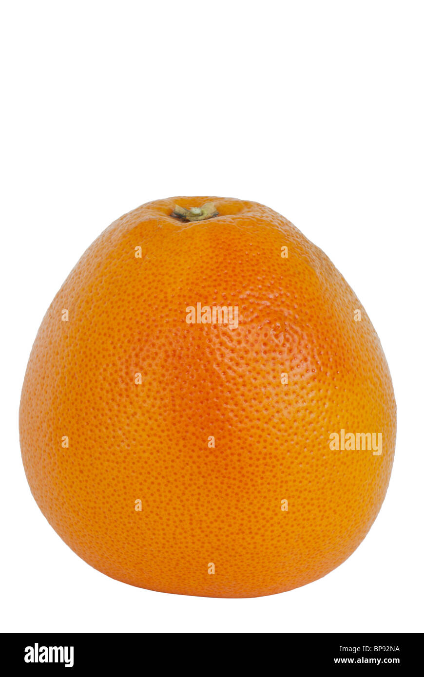 Pompelmo Foto Stock