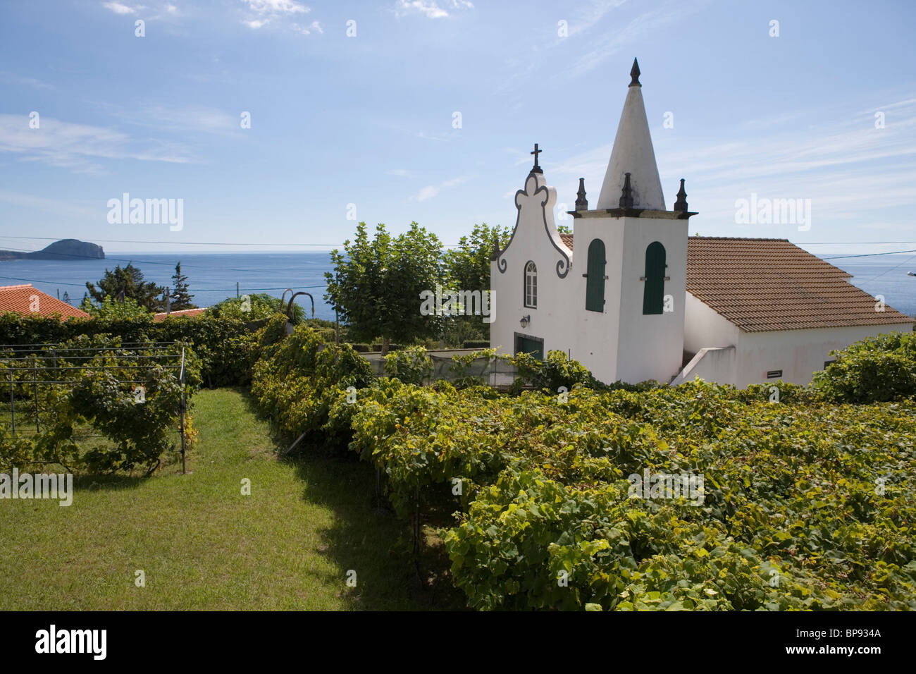 I vitigni e chiesa, Varadouro, isola di Faial, Azzorre, Portogallo, Europa Foto Stock