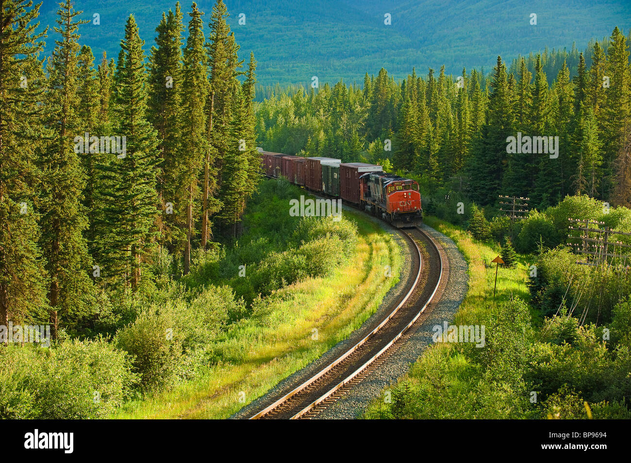 Un Canadian National treno merci Foto Stock