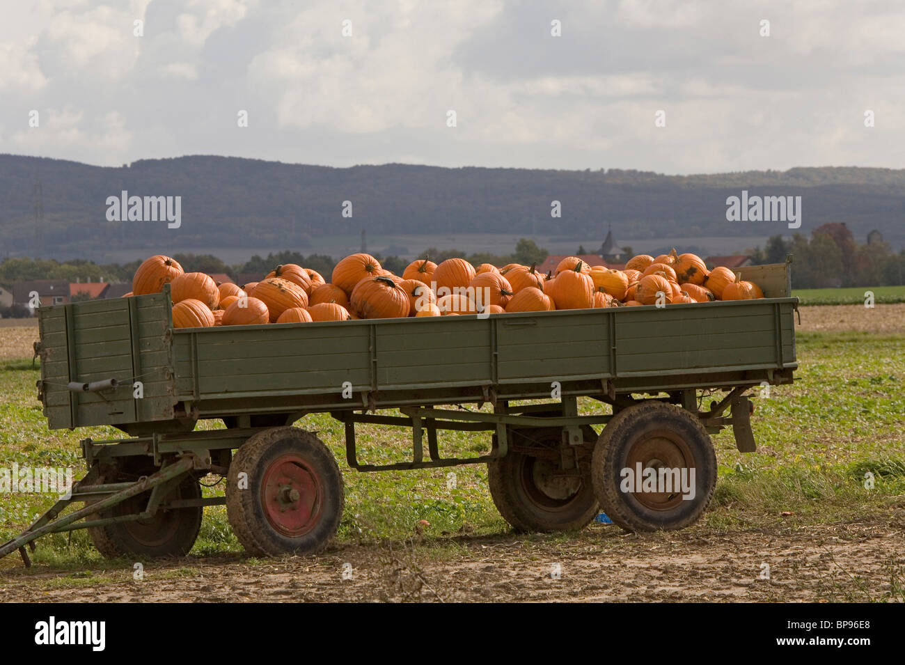 Rimorchio con il pumkins, colorato, campo vicino ad Hannover, Bassa Sassonia Foto Stock