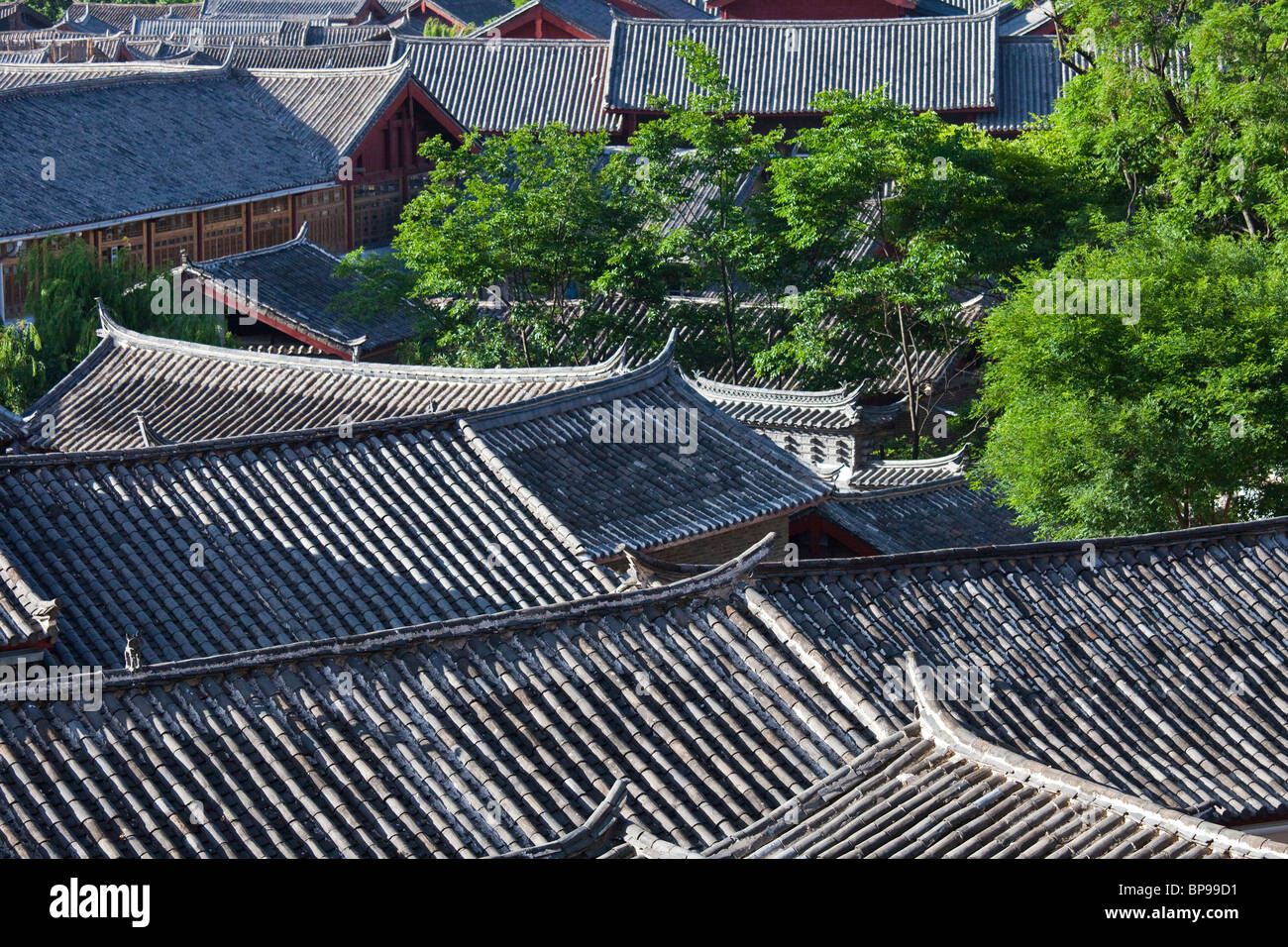 Vista sui tetti della città vecchia di Lijiang, nella provincia dello Yunnan in Cina Foto Stock