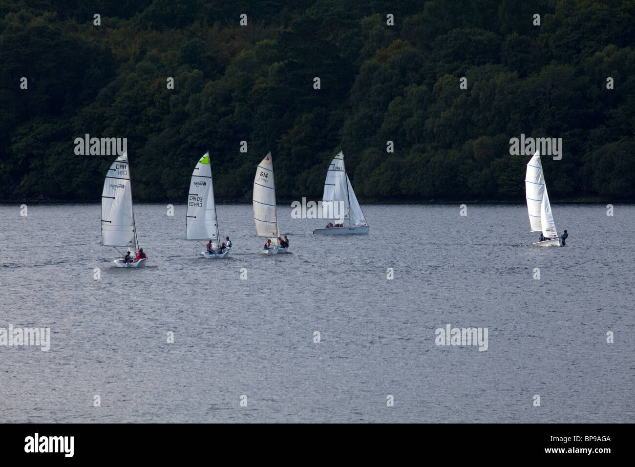 Barche a vela al Derwent Water nel Lake District inglese durante la tarda estate Foto Stock