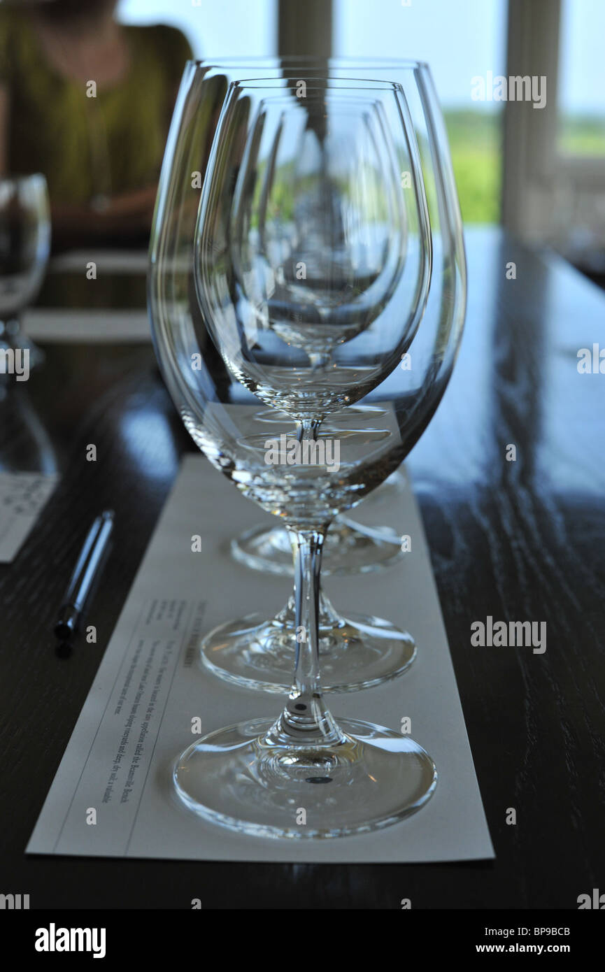 Una fila di bicchieri di vino stabiliti per una degustazione al banco di trenta vigneto nella città di Niagara Falls, Ontario, Canada Foto Stock