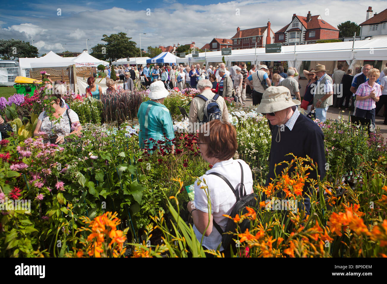 Regno Unito, Inghilterra, Merseyside Southport Flower Show, stand commerciali, i visitatori in cerca di impianti per la vendita Foto Stock