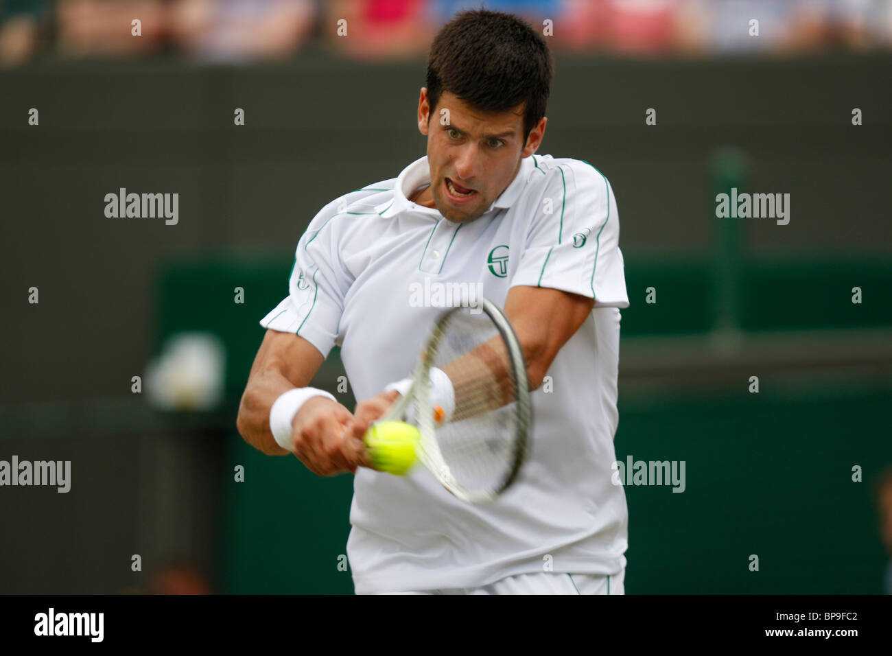 Novak Djokovic di Serbia in azione al 2010 campionati di Wimbledon Foto Stock