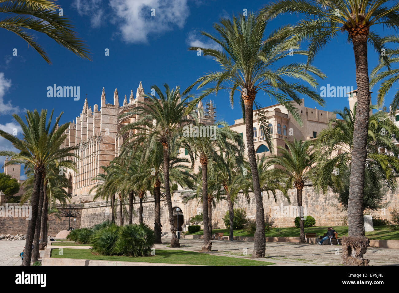 La Seu Cathedral, Palma de Mallorca, Spagna Foto Stock