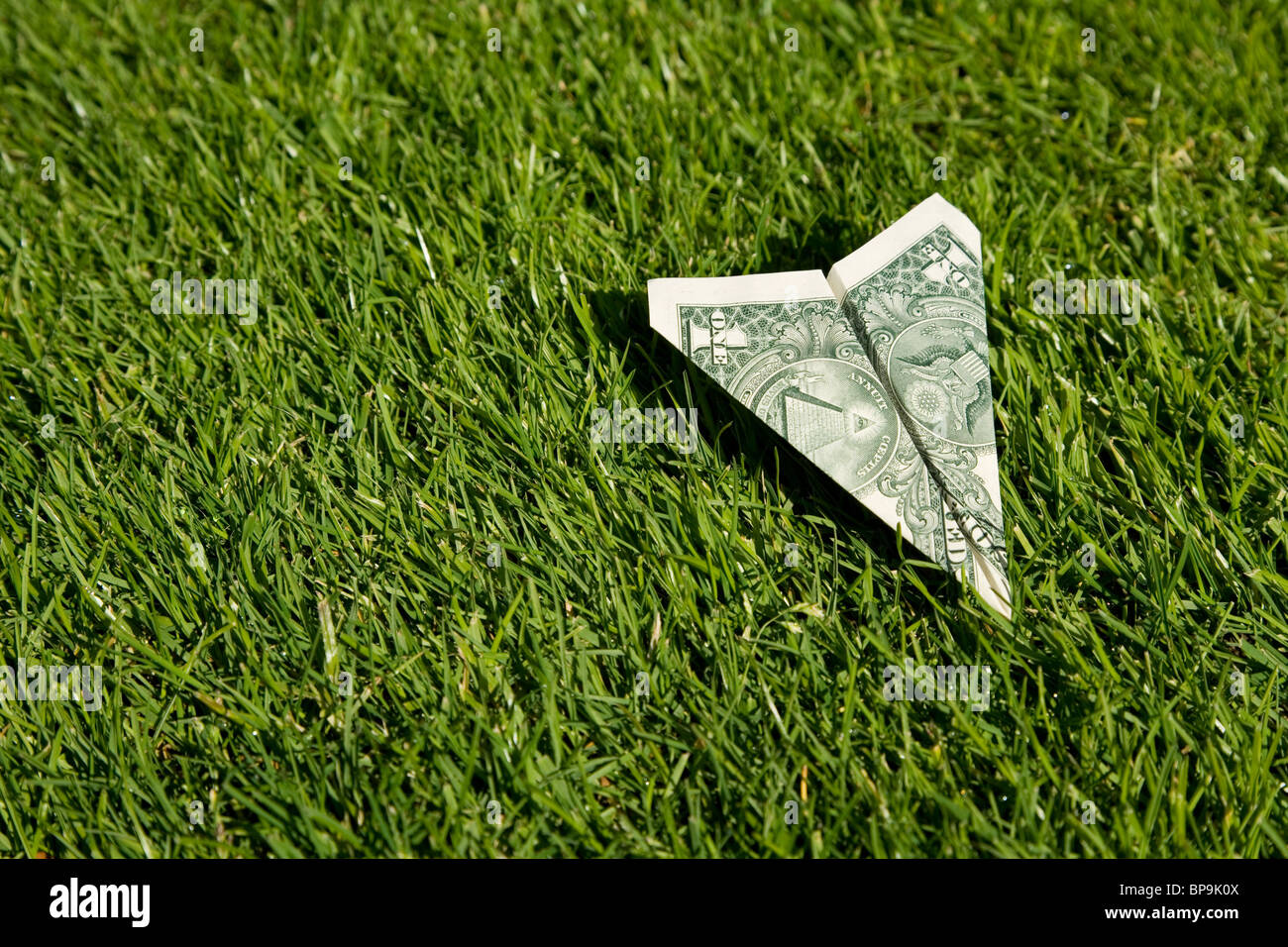 US Dollar aeroplano e l'erba verde, concetto di conservazione ambientale Foto Stock