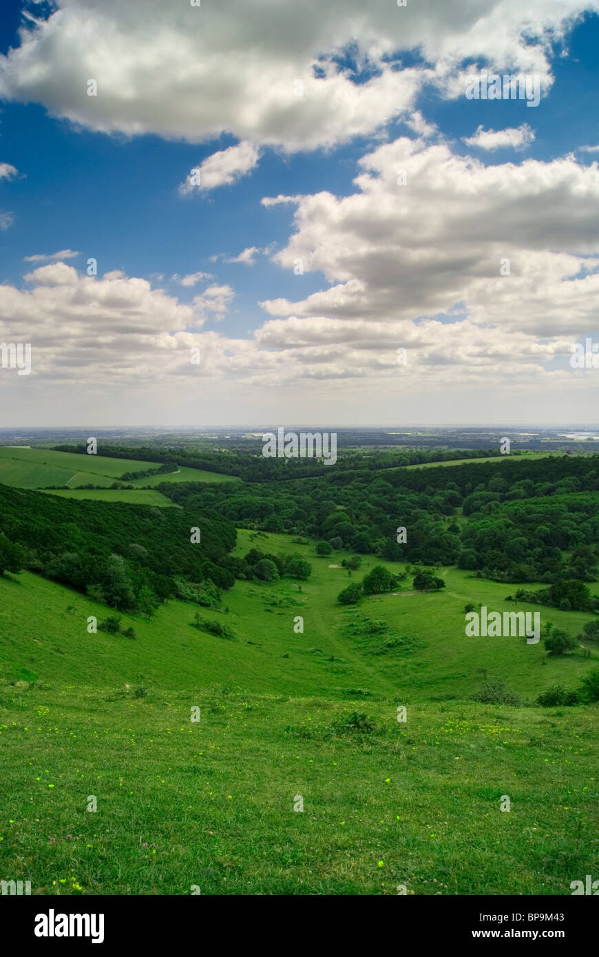 Vista di South Downs da kingley vale Foto Stock