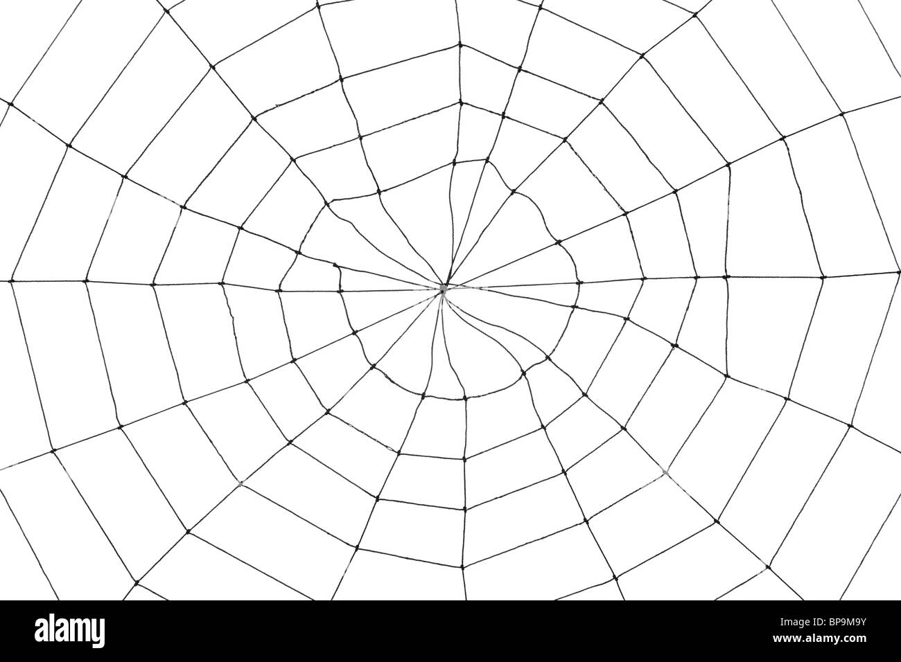 Spider Web per uso in background Foto Stock