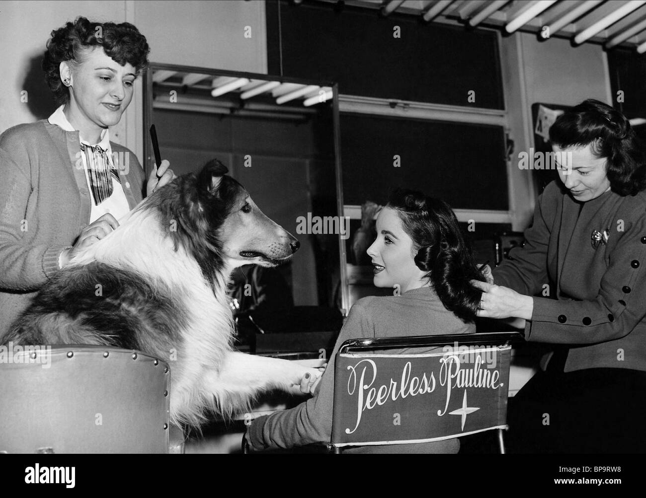 LASSIE, Elizabeth Taylor, LASSIE COME HOME, 1943 Foto Stock