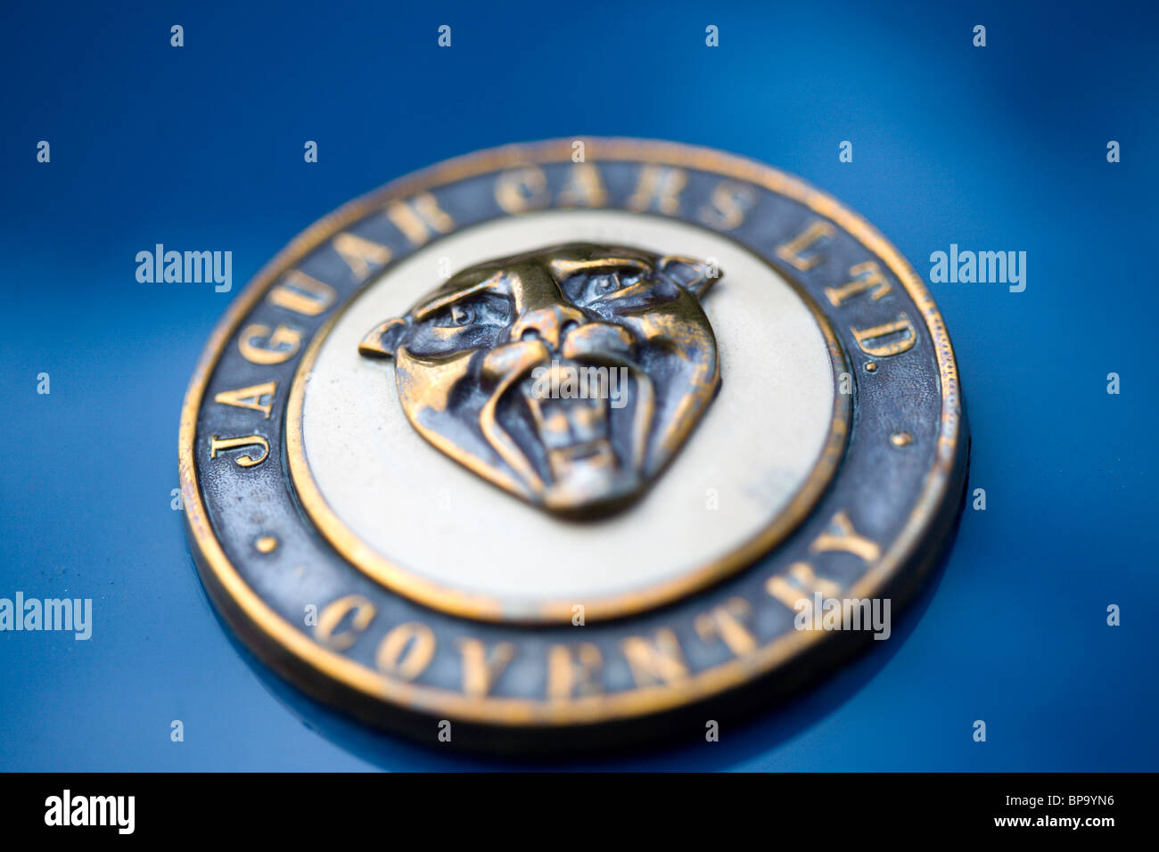 Dettaglio di un classico della Jaguar Foto Stock