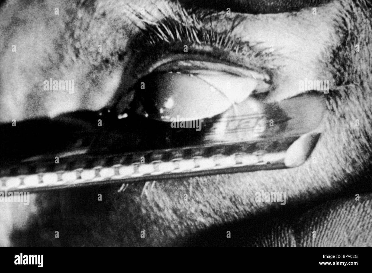 EYEBALL tagliato con RAZORBLADE un cane andaluso; ONU chien andalou (1929) Foto Stock