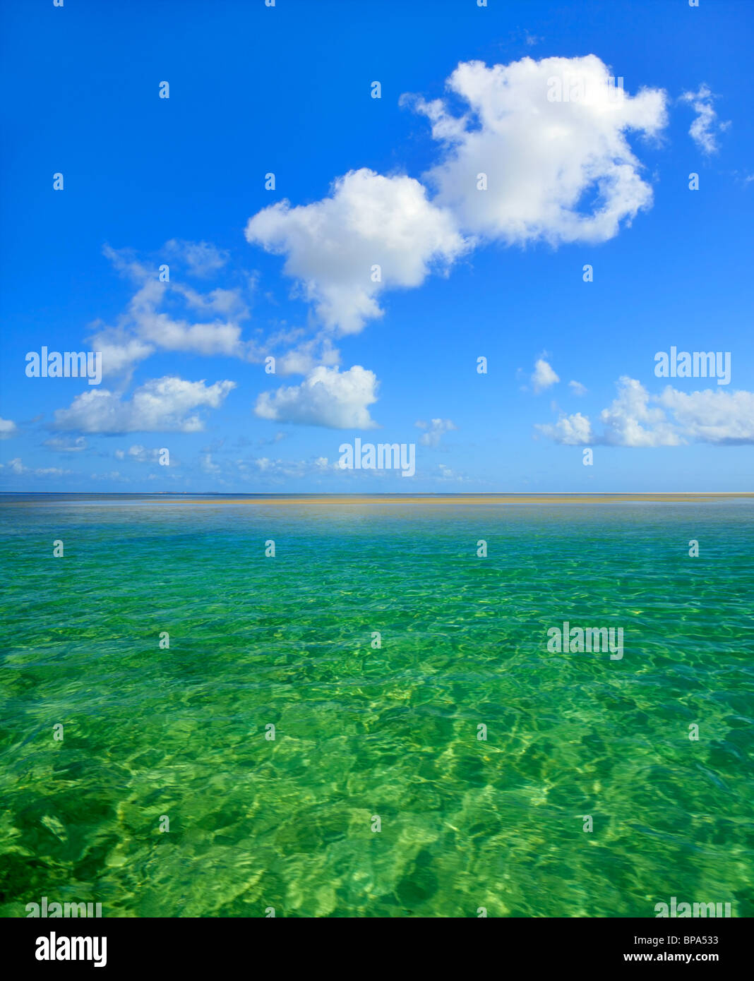 Spiaggia tropicale con acqua limpida e il cielo blu con nuvole Foto Stock