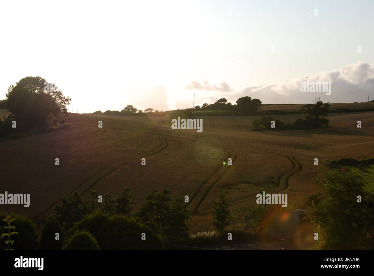 Una vista di fronte del Devon terreni coltivati al crepuscolo Foto Stock