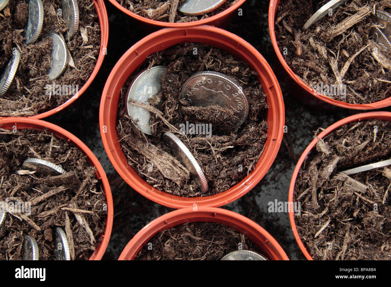 British monete 'crescita' in vasi per piante. Foto Stock