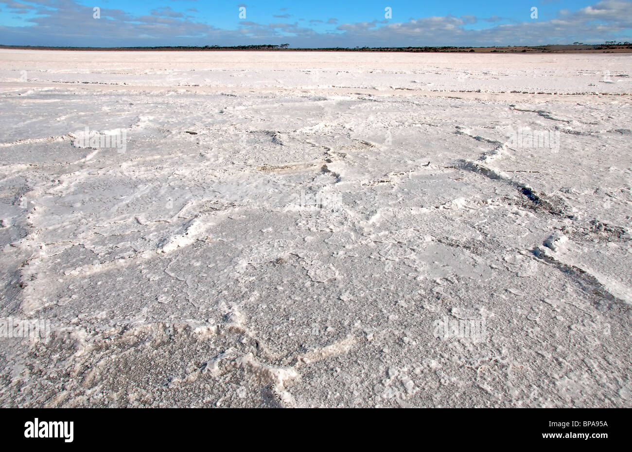 Essiccato Salt Lake Western Australia Foto Stock