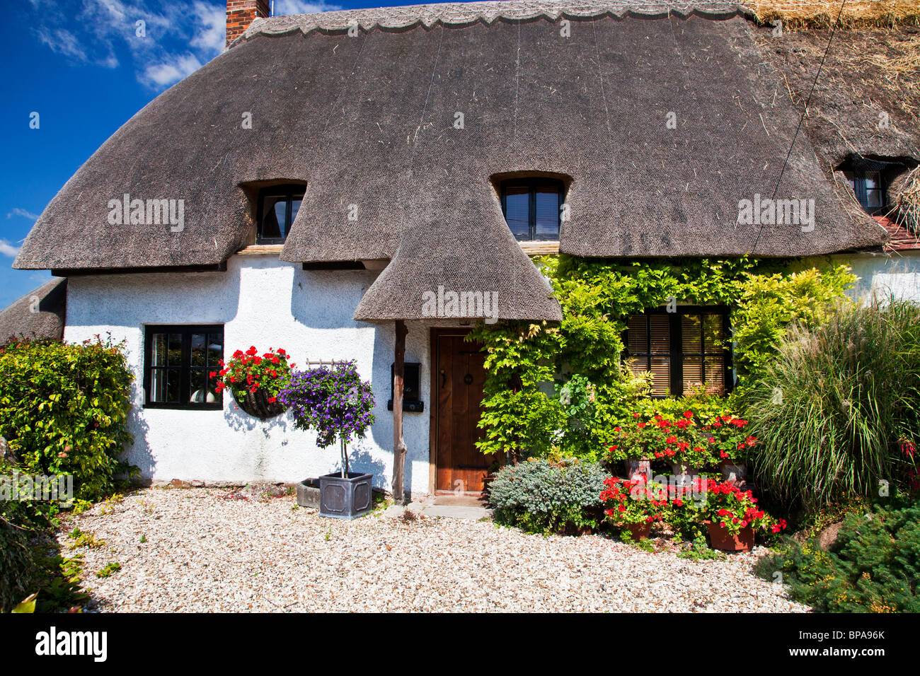 Piuttosto tipico inglese cottage con il tetto di paglia nel Wiltshire villaggio di Wanborough, England, Regno Unito Foto Stock