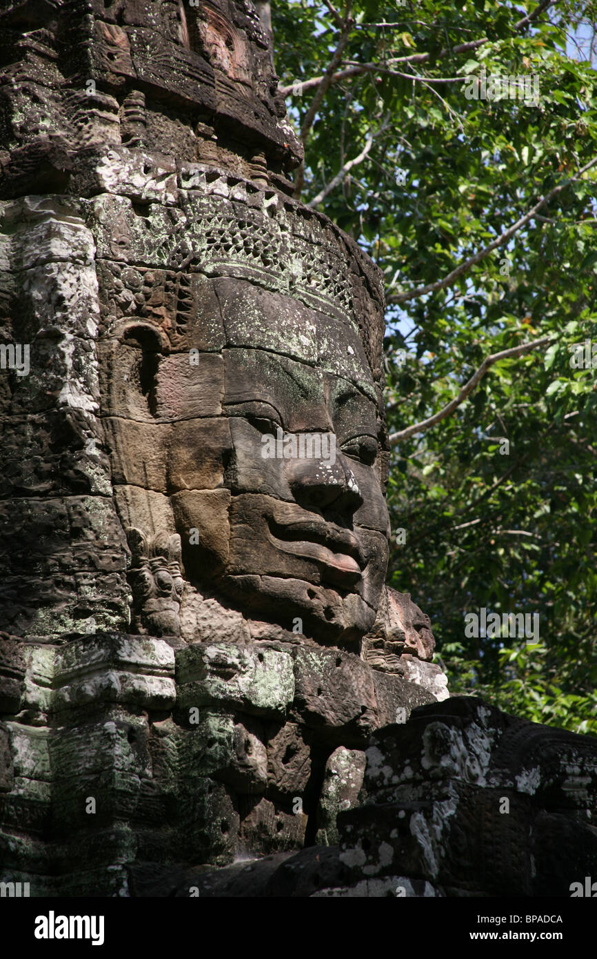 Ta Som tempio di Angkor, Cambogia Foto Stock