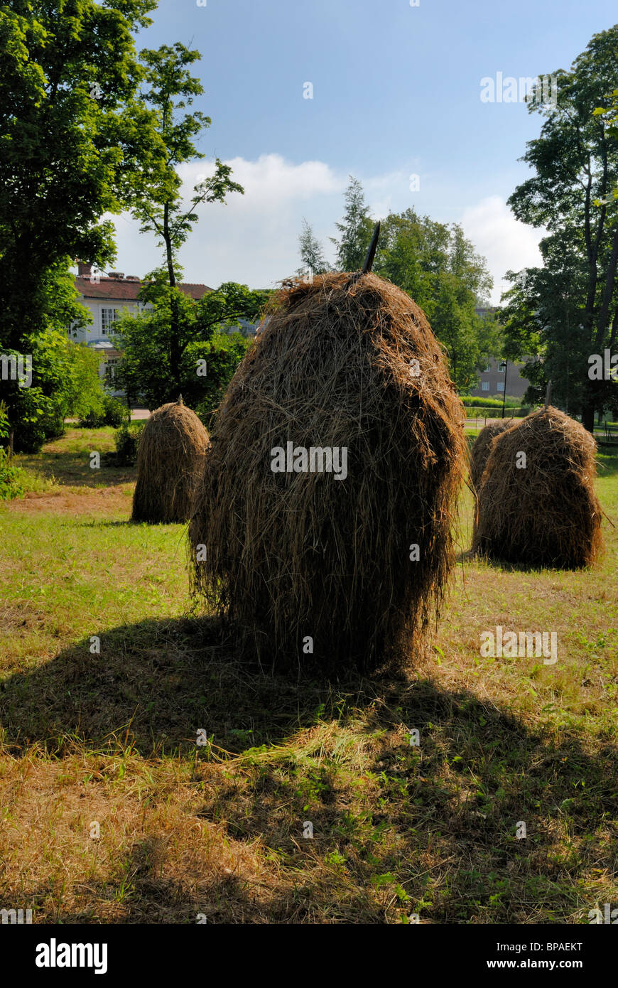 Haystacks nella vecchia città di Helsinki. Haystacks sono buoni ricordano l'età rurale nella storia di Helsinki. Helsinki, Finlandia Foto Stock