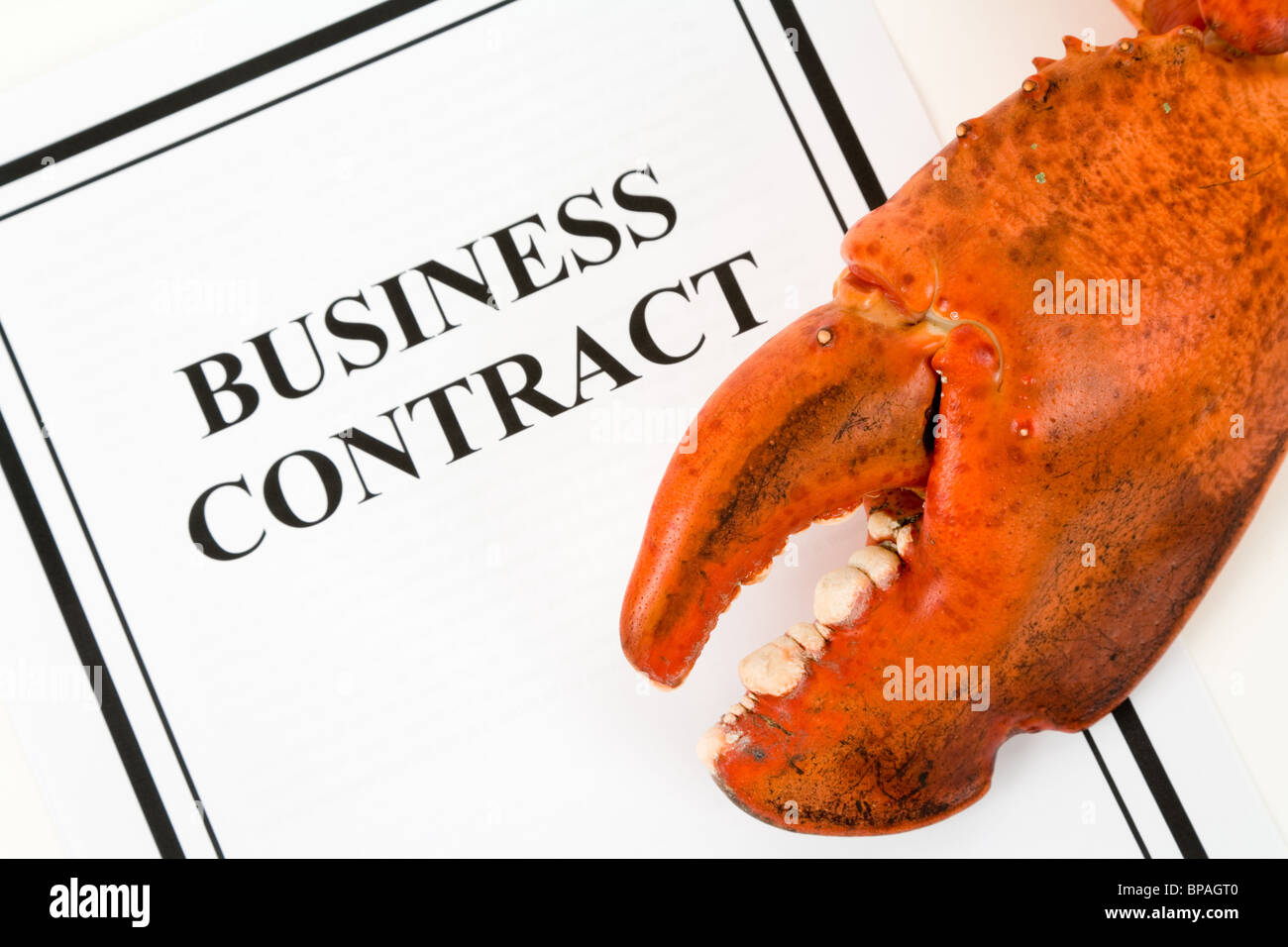 Lobster Claw e Contratto di Business, concetto di minacciare Foto Stock