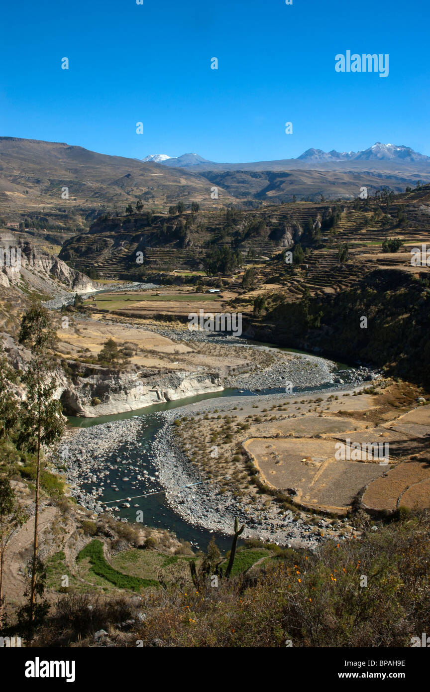 I superiori dei Canyon del Colca, Perù. Foto Stock