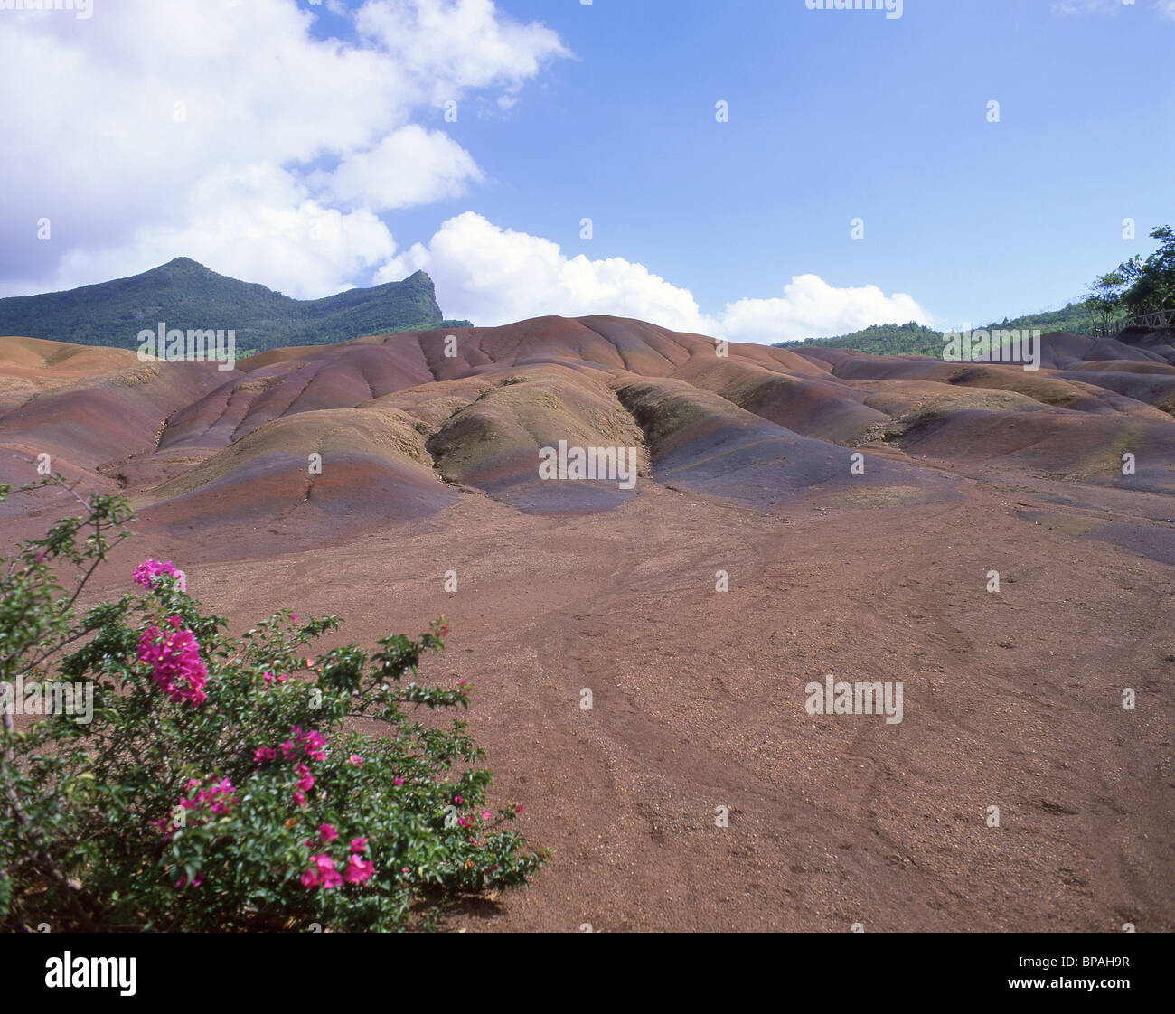 Chamarel terra colorata, Black River District, Repubblica di Mauritius Foto Stock