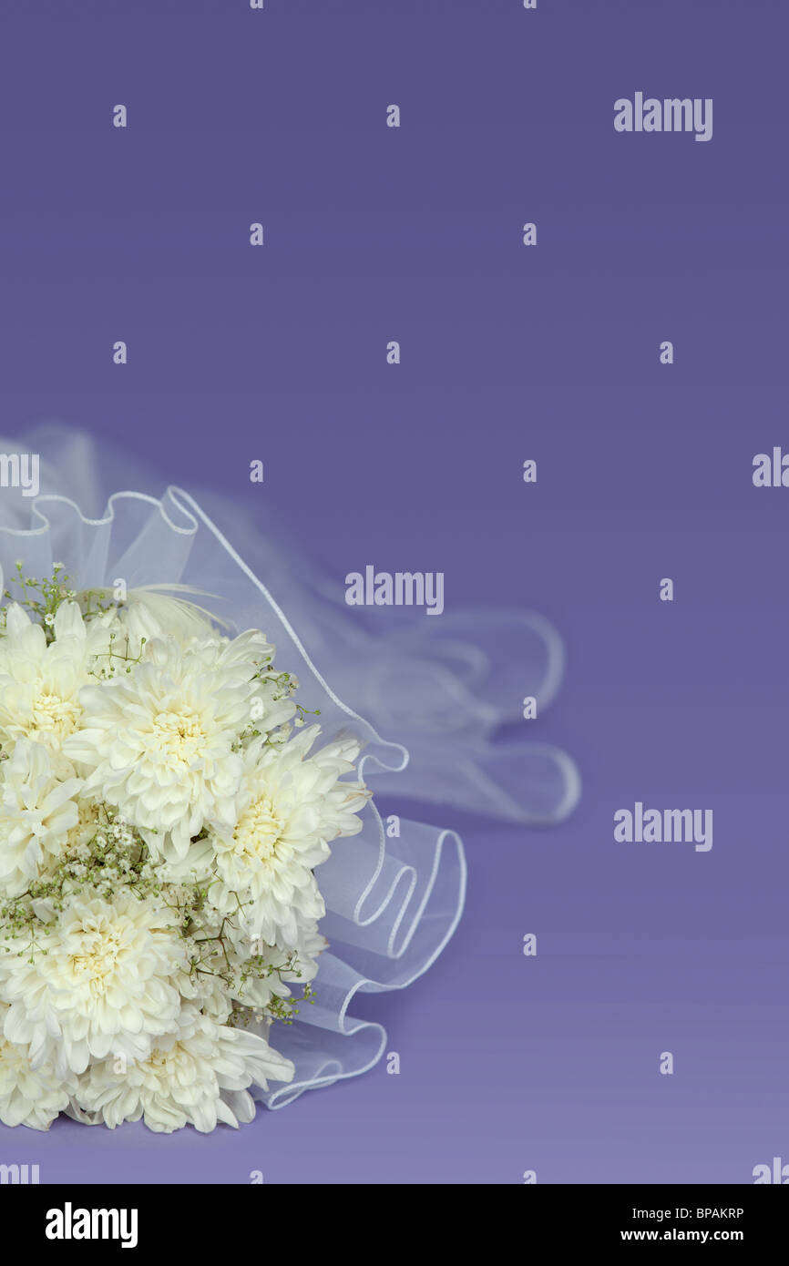 Bouquet della sposa su uno sfondo viola - una composizione di nozze Foto Stock