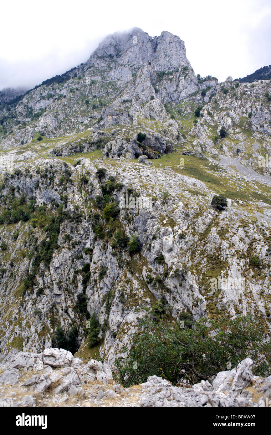 Importa percorso Rio modo naturale percorso natura parco nazionale all'aperto al di fuori di Picos de Europa Spagna Europa Spanish España Espana Foto Stock