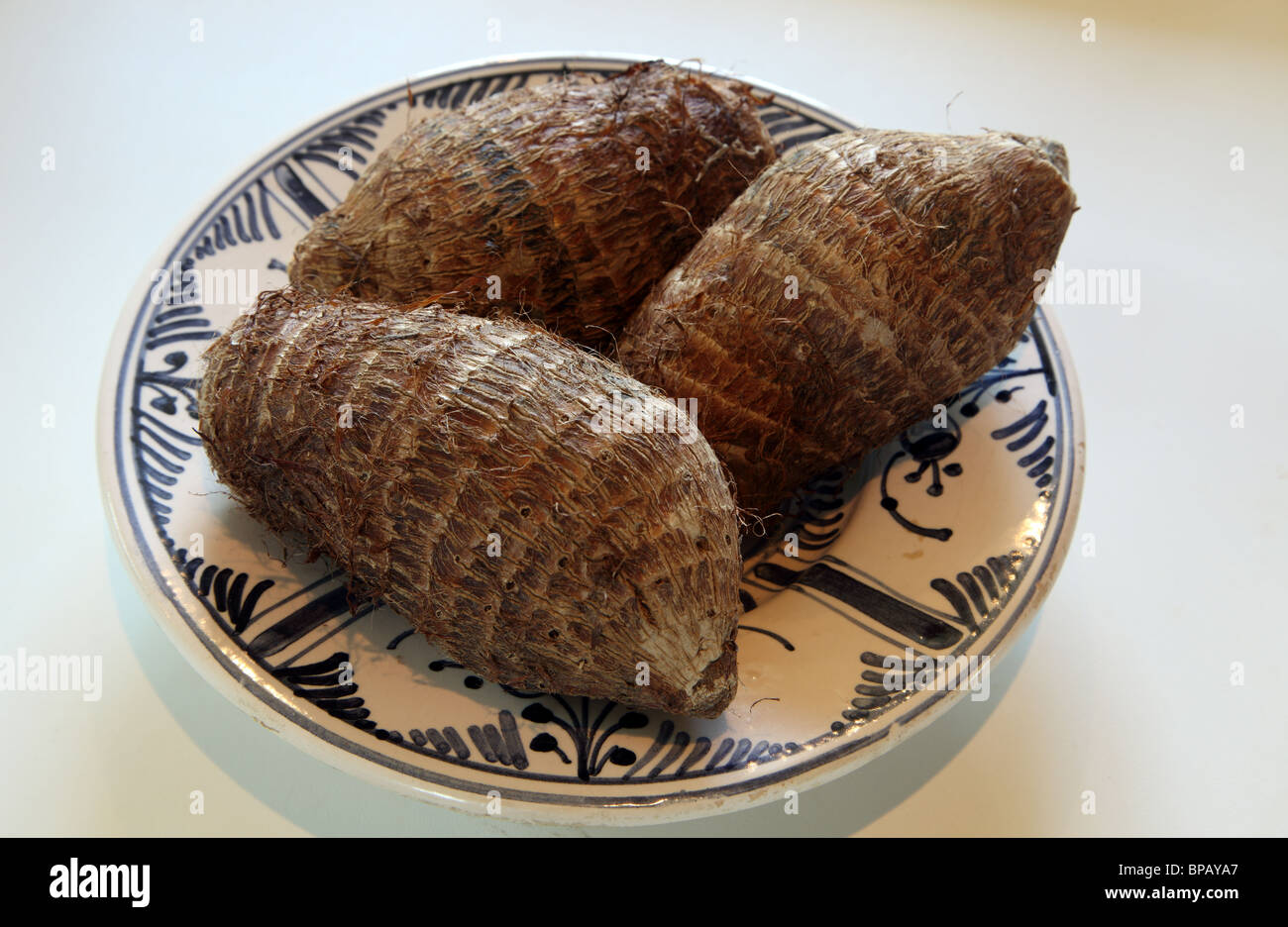 Eddoes, commestibili, radice tropicale ortaggio dal sud america Foto Stock