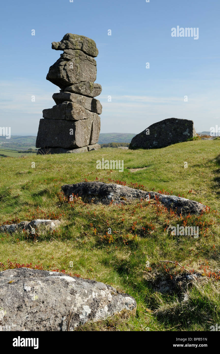 Bowerman del naso, una pila di weathered granito, su Hayne giù vicino Manaton, Dartmoor. Foto Stock