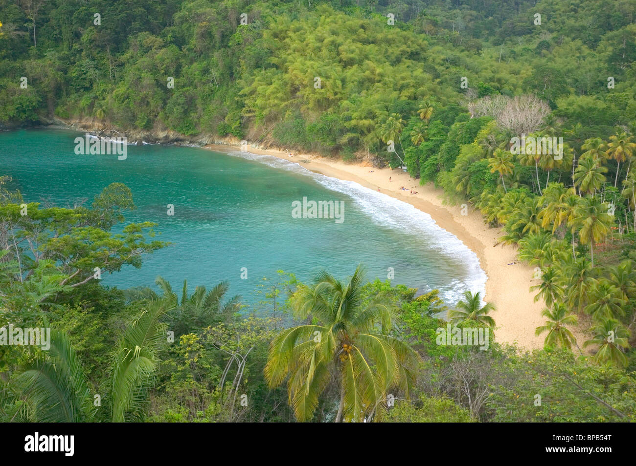 Inglese's Bay, Tobago, dei Caraibi. Foto Stock