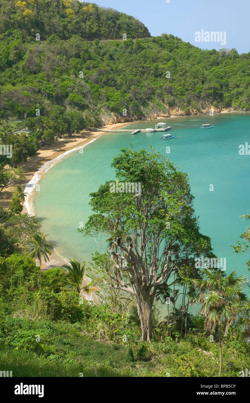 Bateau Bay, Speyside, Tobago, dei Caraibi Foto Stock