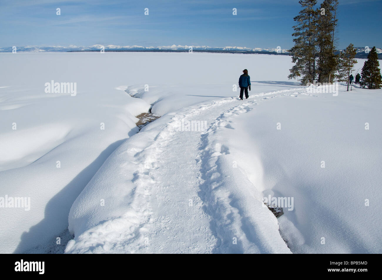 Stati Uniti d'America, Wyoming. Parco Nazionale di Yellowstone, West Thumb Geyser Basin trail. Foto Stock