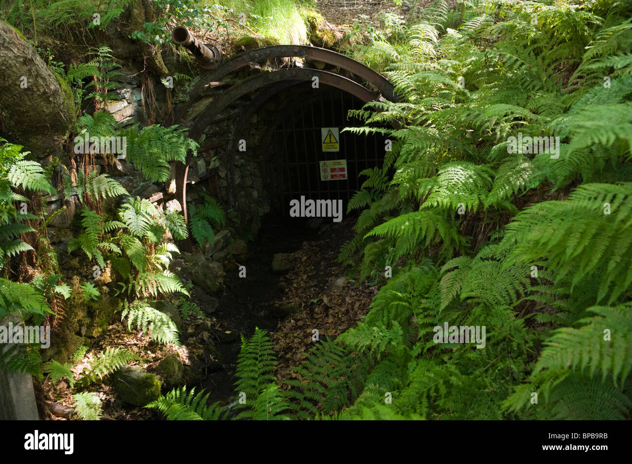 Ingresso ricoperta di abbandonata miniera di carbone a Troedrhiwgwair Blaenau Gwent nel Galles del Sud delle Valli REGNO UNITO Foto Stock