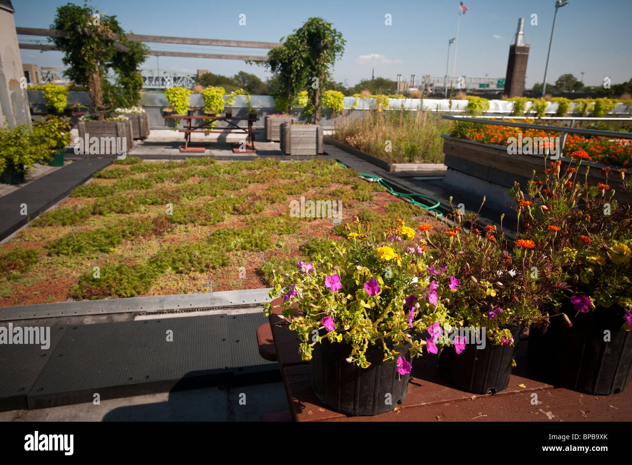 Il 5 Boro verde giardino sul tetto al NYC Parchi e Ricreazione dipartimento amministrazione edificio su Randall's Island in New York Foto Stock