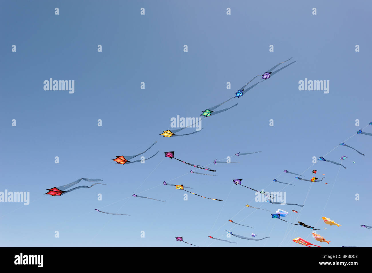 Cielo pieno di aquiloni Foto Stock